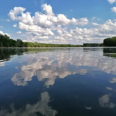 Апартаменты Sremac Kupinovo